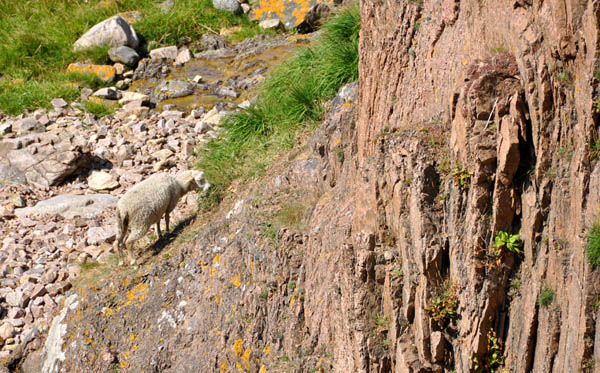Show larger photo