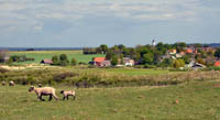 Tun in Kattegat, Denmark