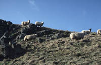 The Rumps, Cornwall