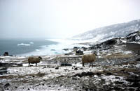 Southern Greenland, Qassiarsuk